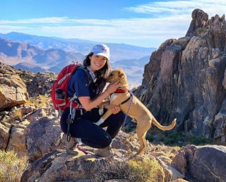 Illustration de l'article : 20 photos d'un chien heureux de voyager avec la femme qui l'a adopté