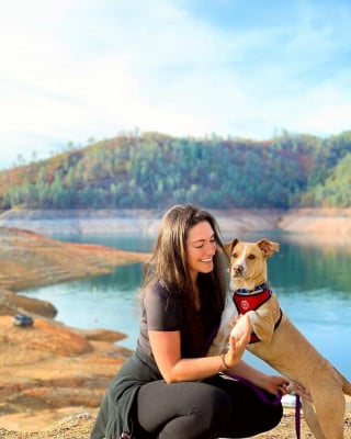 Illustration de l'article : 20 photos d'un chien heureux de voyager avec la femme qui l'a adopté