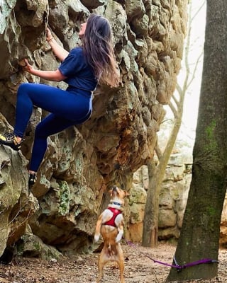 Illustration de l'article : 20 photos d'un chien heureux de voyager avec la femme qui l'a adopté