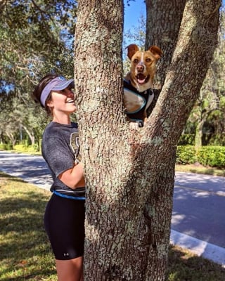 Illustration de l'article : 20 photos d'un chien heureux de voyager avec la femme qui l'a adopté