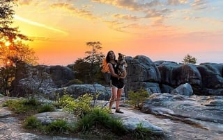 Illustration de l'article : 20 photos d'un chien heureux de voyager avec la femme qui l'a adopté