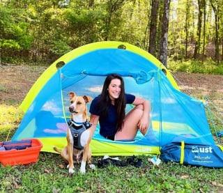 Illustration de l'article : 20 photos d'un chien heureux de voyager avec la femme qui l'a adopté