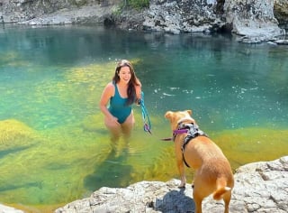 Illustration de l'article : 20 photos d'un chien heureux de voyager avec la femme qui l'a adopté