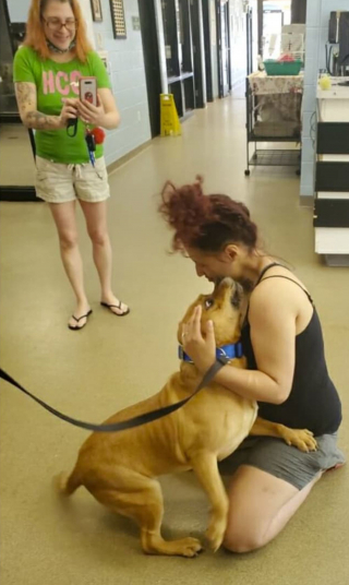 Illustration de l'article : Une femme se rend dans un refuge pour adopter un chien et retrouve son chien perdu il y a 2 ans ! 