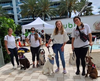 Illustration de l'article : Des chiens de thérapie apaisent des citoyens traumatisés par l'effondrement d'un immeuble en Floride