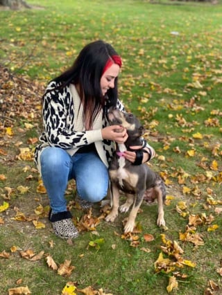 Illustration de l'article : En nettoyant une maison abandonnée, elle trouve un chien enfermé dans le grenier et le confie à sa belle-soeur