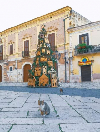 Illustration de l'article : Une bande de félins réquisitionne le sapin de Noël de sa ville pour en faire son arbre à chat ! (Vidéo)