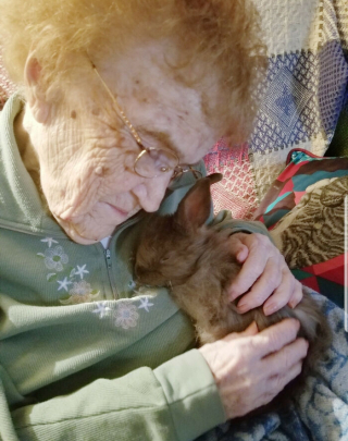 Illustration de l'article : 20 photos de lapins dont la douceur et la gentillesse constituent le meilleur remède contre le stress