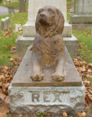 Illustration de l'article : Les visiteurs d'un cimetière déposent régulièrement des bâtons sur la tombe d'un chien vieille d'un siècle