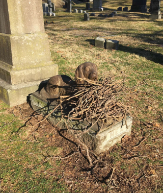 Illustration de l'article : Les visiteurs d'un cimetière déposent régulièrement des bâtons sur la tombe d'un chien vieille d'un siècle