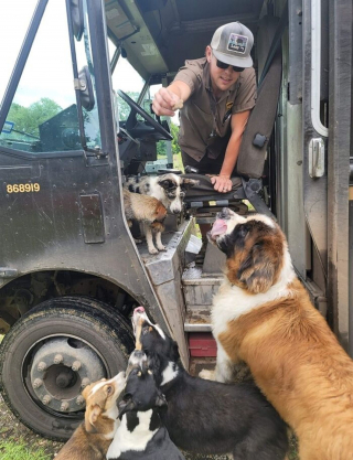 Illustration de l'article : 17 photos de livreurs ayant noué une amitié exceptionnelle avec des chiens