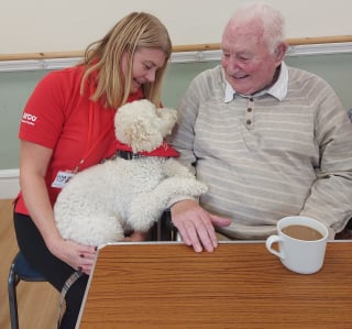 Illustration de l'article : Un Golden Retriever rend visite à une personne âgée pour l'aider à lutter contre la solitude