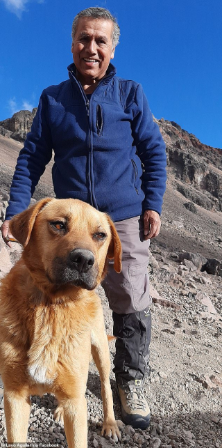 Illustration de l'article : En suivant des alpinistes, ce chien perdu à plus de 5 000 mètres d'altitude chemine vers une vie meilleure