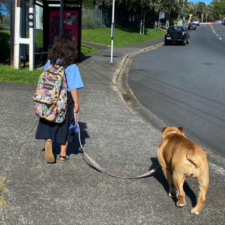 Illustration de l'article : 13 photos d'une fille qui a grandi avec son meilleur ami canin à ses côtés