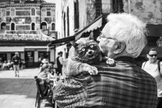 Illustration de l'article : 20 photos en noir et blanc illustrant le lien unique entre des chats et leurs propriétaires