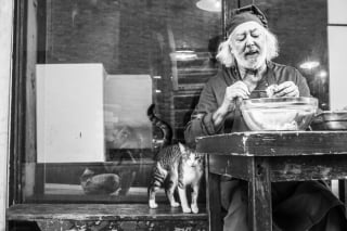 Illustration de l'article : 20 photos en noir et blanc illustrant le lien unique entre des chats et leurs propriétaires