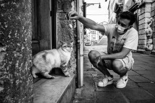 Illustration de l'article : 20 photos en noir et blanc illustrant le lien unique entre des chats et leurs propriétaires