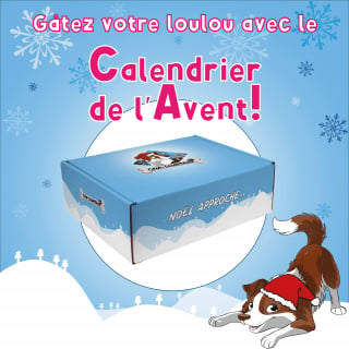 Illustration de l'article : Cani-gourmand présente ses friandises 100% naturelles et son calendrier de l’Avent pour chien