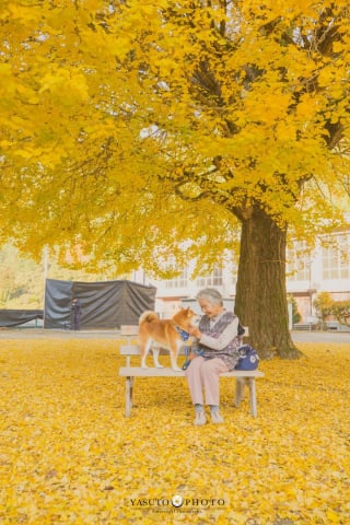 Illustration de l'article : 15 photos magnifiques et réconfortantes illustrant le lien fort entre une grand-mère et son Shiba Inu