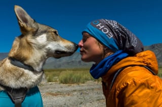 Illustration de l'article : 12 photos d'un Chien Loup Tchécoslovaque qui adore voyager avec ses propriétaires