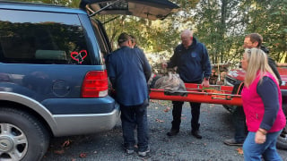 Illustration de l'article : Elle détourne les yeux quelques secondes, puis découvre que son chien âgé a disparu. 2 jours plus tard, elle appelle les pompiers