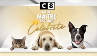 Illustration de l'article : « Mon maître est une célébrité » : la nouvelle émission de C8 consacrée à l'intimité des stars et leurs animaux