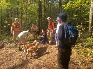 Illustration de l'article : Un chien survit à sa chute d'une falaise de 50 mètres, laissant sans voix l’équipe venue le secourir