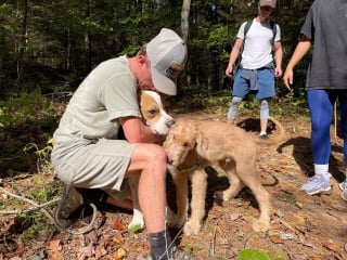 Illustration de l'article : Un chien survit à sa chute d'une falaise de 50 mètres, laissant sans voix l’équipe venue le secourir