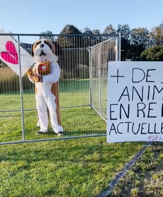 Illustration de l'article : Une action coup de poing de la SPA avec des humains déguisés en chiens et chats abandonnés dans toute la ville