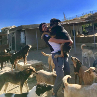 Illustration de l'article : La directrice d'un sanctuaire pour animaux partage une vidéo édifiante de chiens handicapés heureux de courir sur la plage