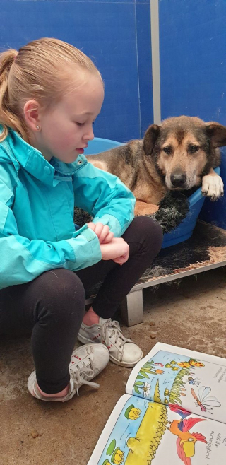 Illustration de l'article : Une petite fille se donne pour mission d'aider les animaux effrayés et nerveux d'un refuge en leur lisant des histoires (vidéo)