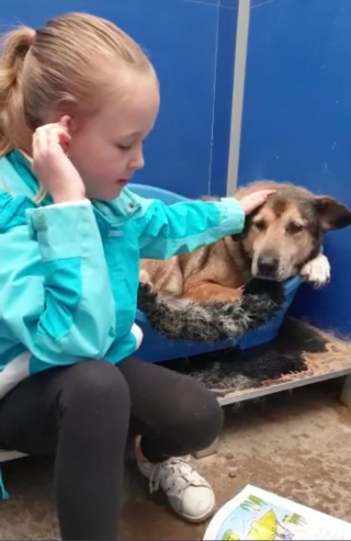 Illustration de l'article : Une petite fille se donne pour mission d'aider les animaux effrayés et nerveux d'un refuge en leur lisant des histoires (vidéo)