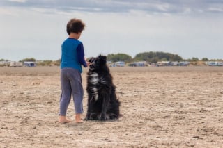 Illustration de l'article : Campagne « Ils partent avec nous » de Mars Petcare : le bilan et les photos lauréates du concours