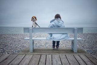 Illustration de l'article : Campagne « Ils partent avec nous » de Mars Petcare : le bilan et les photos lauréates du concours