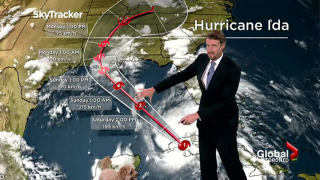 Illustration de l'article : Découvrez en 13 photos l'apparition surprise d'un chien lors d'une émission météo