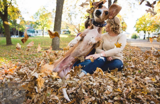 Illustration de l'article : 20 chiens qui ont décidé de ruiner la photo qui s'annonçait parfaite