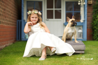 Illustration de l'article : 16 sublimes portraits de chiens réalisés par un photographe passionné, pour égayer votre journée