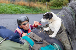 Illustration de l'article : Chaque année, une femme de 80 ans et son chien handicapé entreprennent un voyage d'environ 1 000 kilomètres à cheval