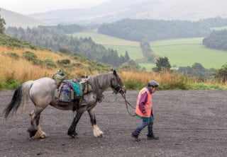 Illustration de l'article : Chaque année, une femme de 80 ans et son chien handicapé entreprennent un voyage d'environ 1 000 kilomètres à cheval