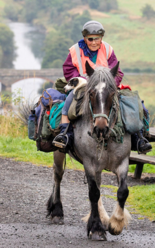 Illustration de l'article : Chaque année, une femme de 80 ans et son chien handicapé entreprennent un voyage d'environ 1 000 kilomètres à cheval