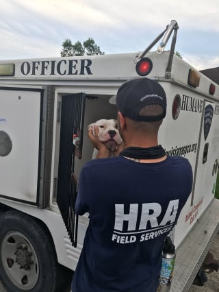 Illustration de l'article : Une équipe de secours déploie tous ses efforts pour libérer un chien coincé sous un hangar effondré à la suite d'un ouragan