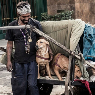 Illustration de l'article : 20 photos illustrant l'attachement inébranlable entre des sans-abri et leurs chiens