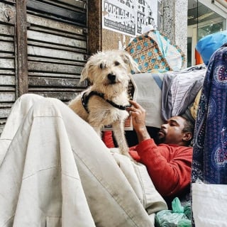 Illustration de l'article : 20 photos illustrant l'attachement inébranlable entre des sans-abri et leurs chiens