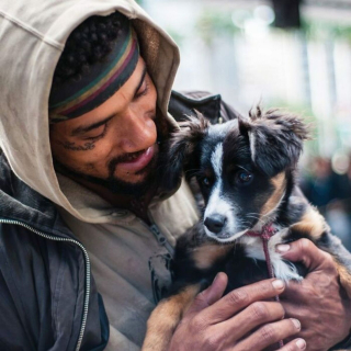 Illustration de l'article : 20 photos illustrant l'attachement inébranlable entre des sans-abri et leurs chiens