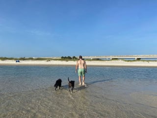 Illustration de l'article : 20 photos documentant la merveilleuse journée à la plage de 2 chiens adoptés par un couple