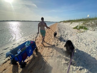 Illustration de l'article : 20 photos documentant la merveilleuse journée à la plage de 2 chiens adoptés par un couple