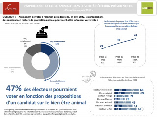 Illustration de l'article : Les Français et la cause animale : un enjeu sociétal et politique de plus en plus fort