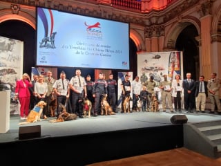 Illustration de l'article : Un chien de sauvetage honoré à la mairie de Paris dans le cadre de la troisième édition des « Trophées des chiens héros »