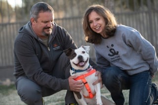 Illustration de l'article : La Pitbull qui s'était mordue la patte pour échapper à son calvaire a retrouvé une famille !