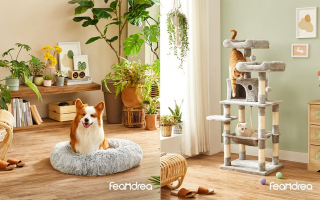 Feandrea : des accessoires pour chien et chat pratiques, durables et